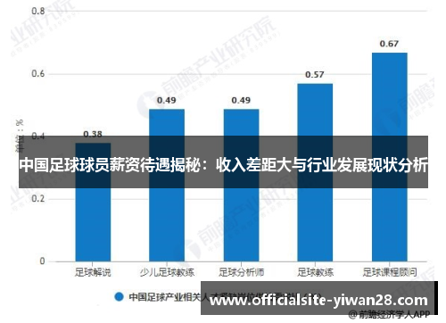 中国足球球员薪资待遇揭秘：收入差距大与行业发展现状分析